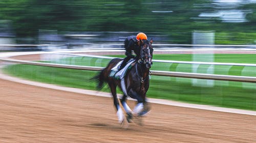 Imagen de tendencia de carreras de caballos: 2025 Belmond Stakes: La lluvia destruye, pero hay pistas fangosas